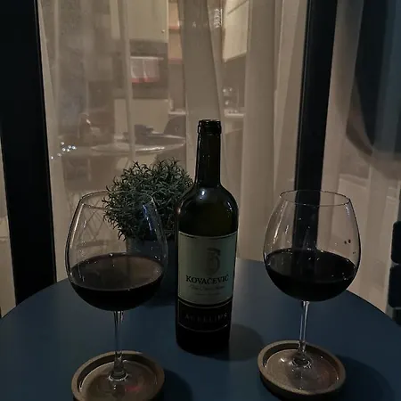 Adonis 201 Apartment