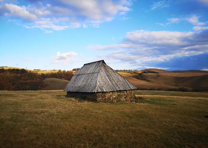 Adonis 201 Appartement *