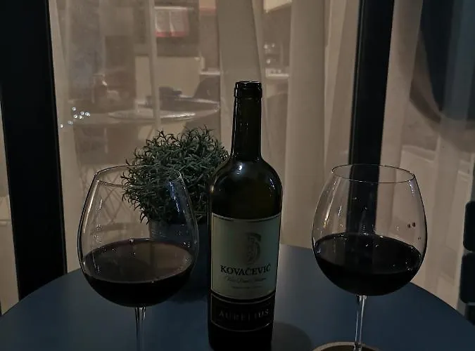 Adonis 201 Appartement